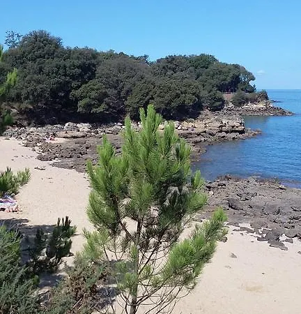 Location Mobil-home Climatise A La Palmyre